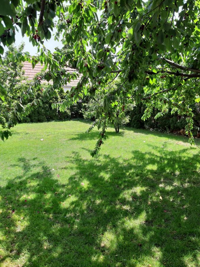 Eisenstadt Apartments מראה חיצוני תמונה